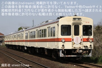 【関鉄】『関鉄「お花見ビール列車」』が運転