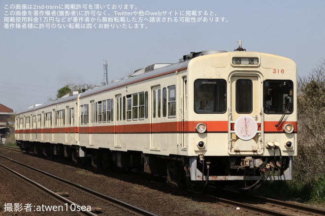 【関鉄】『関鉄「お花見ビール列車」』が運転を不明で撮影した写真
