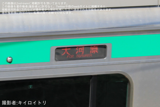 【JR東】桜まつり開催に伴う臨時列車運行を不明で撮影した写真