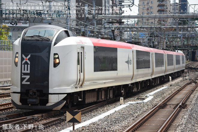 【JR東】E259系Ne005編成 大宮総合車両センター入場回送を品川駅で撮影した写真