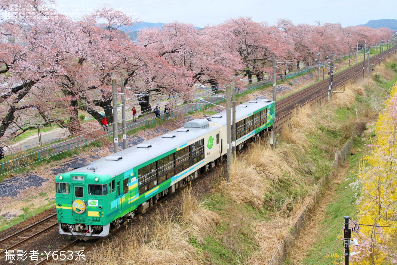 【JR東】快速「風っこ花めぐり号」が臨時運行の拡大写真