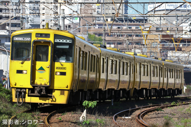 【JR九】「桜島と芸術花火2023」の開催に合わせた臨時列車が運行