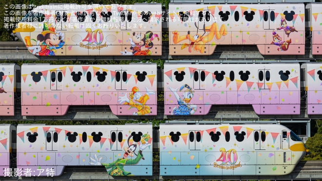【舞浜リ】『東京ディズニーリゾート40周年ドリームゴーラウンド』を記念したラッピングモノレール