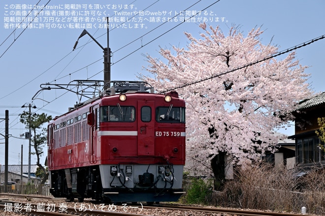 【JR東】ED75-759が奥羽本線で本線試運転