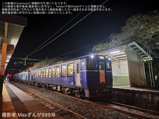 【JR東】快速「夜桜ShuKura」を臨時運行を分水駅で撮影した写真