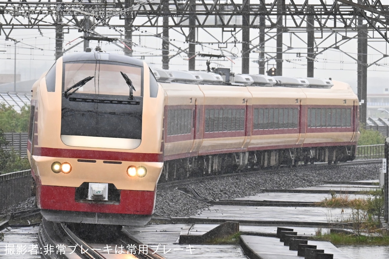 【JR東】特急「青の絶景ネモフィラ号」(蘇我発着)が臨時運行の拡大写真