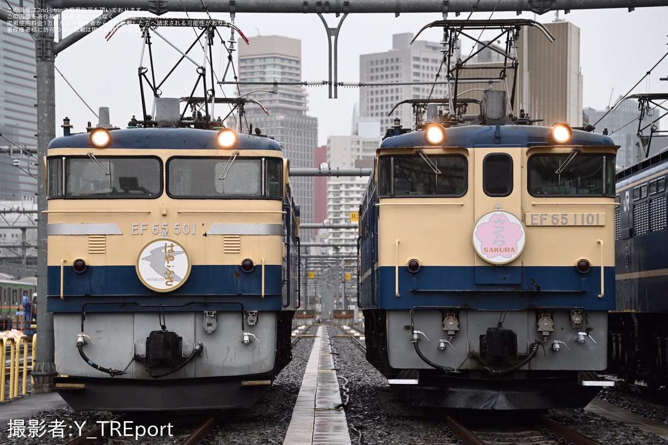 【JR東】「青い名機、再び。」(昼の部)撮影会開催の拡大写真