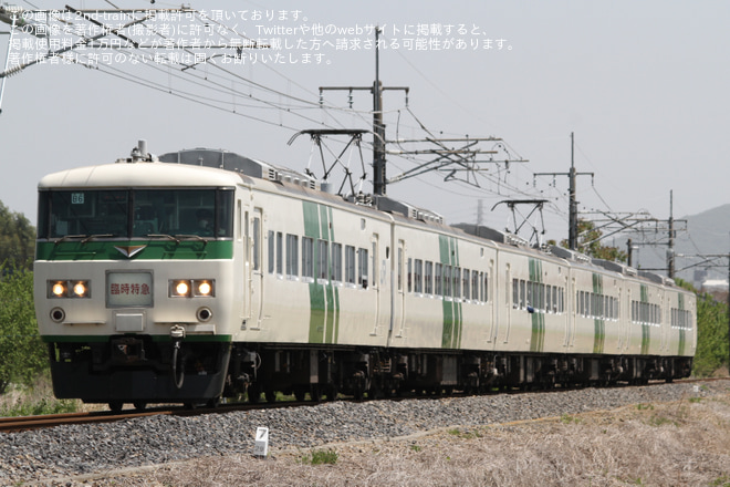 【JR東】185系 特急「あしかが大藤まつり号」が臨時運行を佐野～富田間で撮影した写真