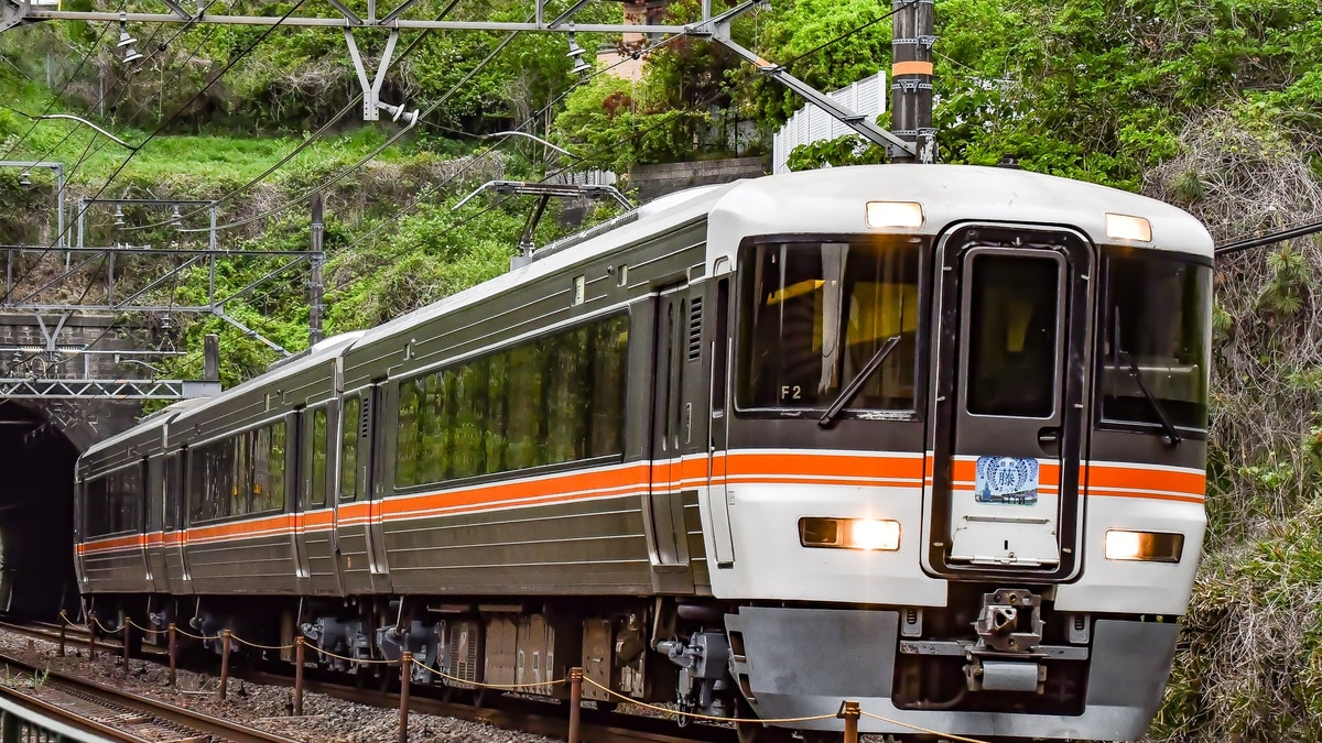 JR海】快速「藤枝 藤まつり号」を臨時運行 |2nd-train鉄道ニュース