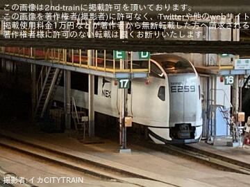 【JR東】E259系の新塗装が姿を現す