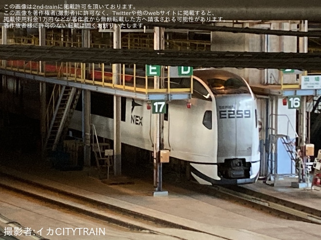 【JR東】E259系の新塗装が姿を現すを大宮総合車両センター付近で撮影した写真
