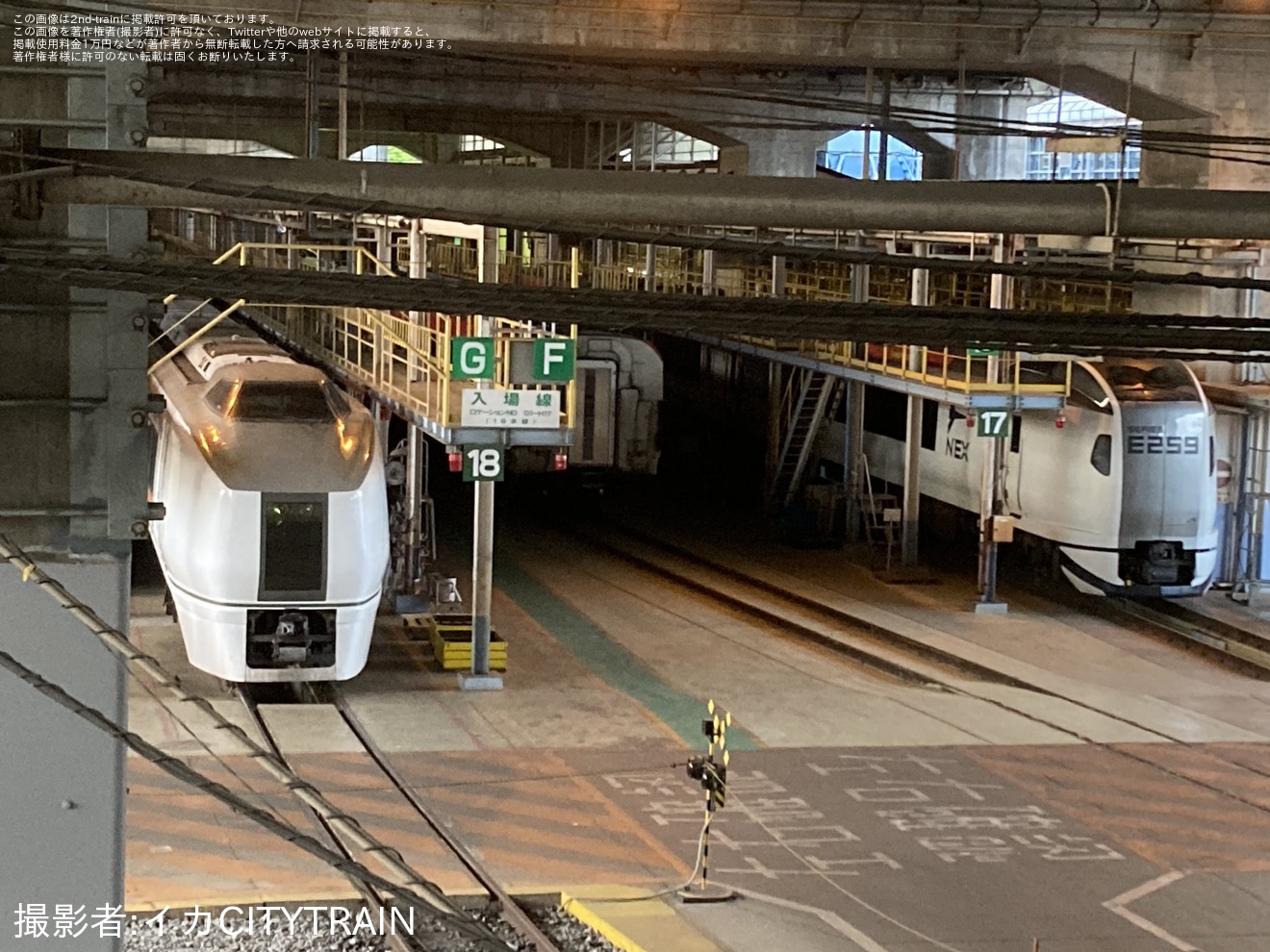 【JR東】E259系の新塗装が姿を現すの拡大写真