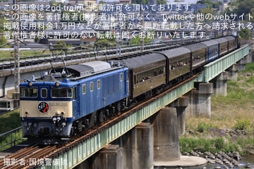 D51群馬　498 Suicaカード　限定品　希少　レア 楽天市場】【公式】 最強王図鑑シリーズ ICカード ケース パス