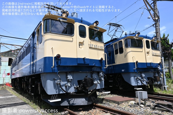 【JR東】田端運転所機関車見学会が開催(20230429)を不明で撮影した写真