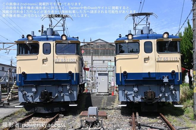 【JR東】田端運転所機関車見学会が開催(20230429)
