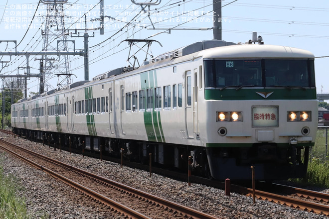 【JR東】185系 特急「あしかが大藤まつり号」が臨時運行を久喜市で撮影した写真