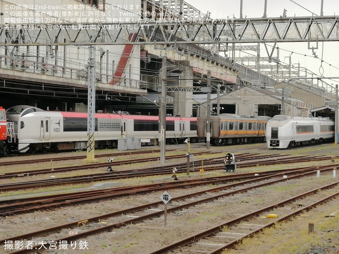 【JR東】E259系の新塗装の側面が姿を現す