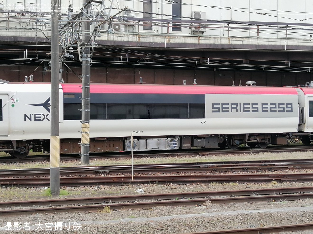 【JR東】E259系の新塗装の側面が姿を現すの拡大写真