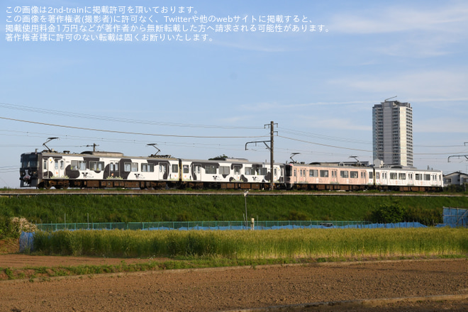 【横高】こどもの国線 「うしでんしゃ」・「ひつじでんしゃ」が連結されて運行を長津田～恩田間で撮影した写真