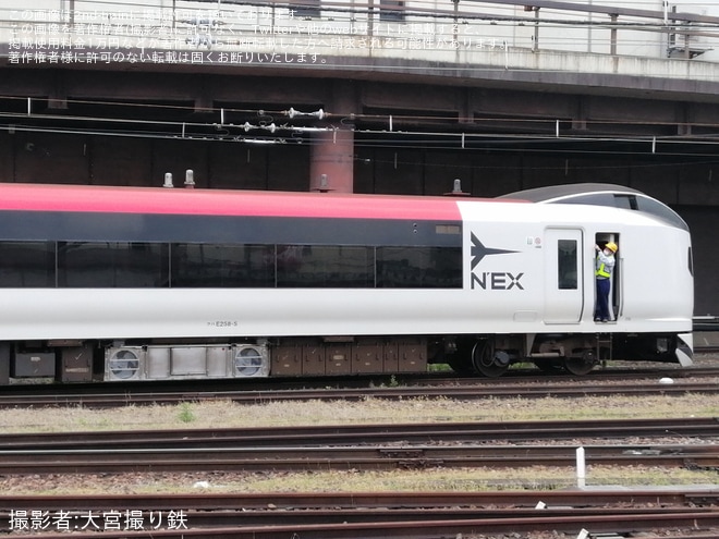 【JR東】E259系の新塗装の側面が姿を現すを不明で撮影した写真