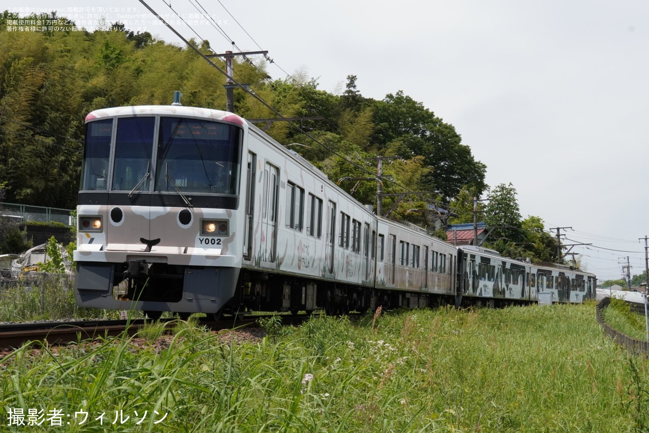 【横高】こどもの国線 「うしでんしゃ」・「ひつじでんしゃ」が連結されて運行の拡大写真