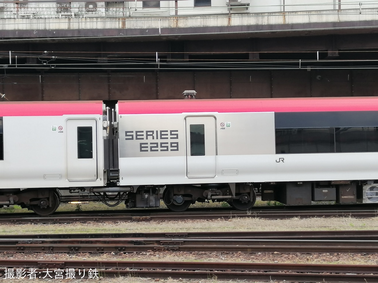 【JR東】E259系の新塗装の側面が姿を現すの拡大写真