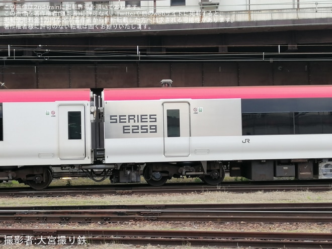 【JR東】E259系の新塗装の側面が姿を現す