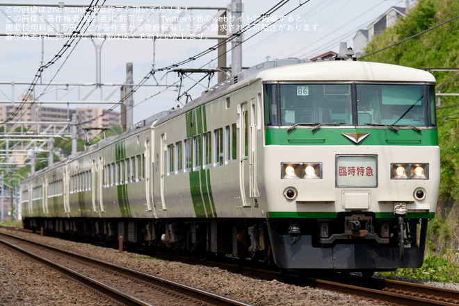【JR東】185系 特急「あしかが大藤まつり号」が臨時運行を戸塚～横浜間で撮影した写真