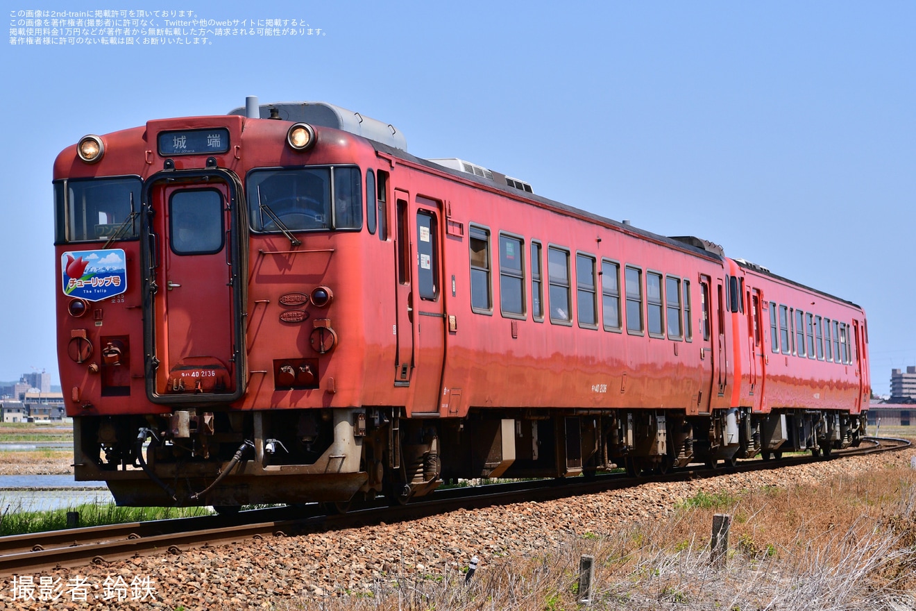 【JR西】城端線の列車に「チューリップ号」HMが掲出の拡大写真