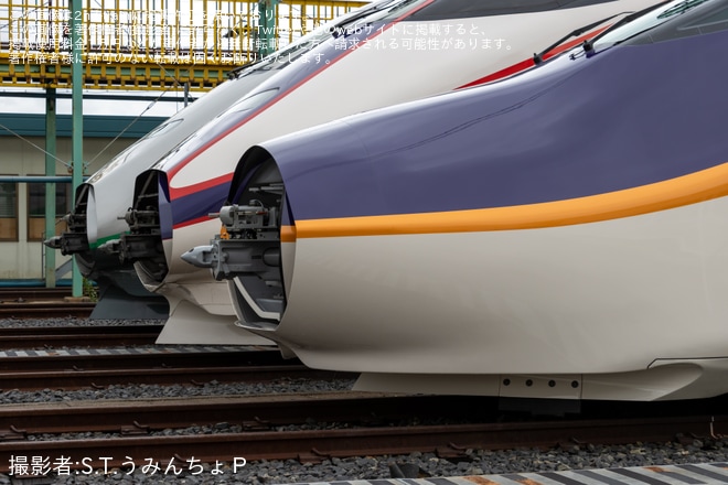 【JR東】「山形新幹線車両センターE3系、E8系つばさ撮影会」開催を山形新幹線車両センターで撮影した写真