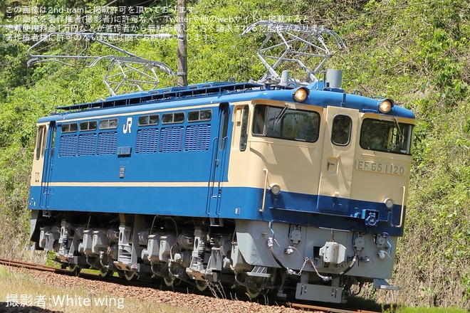 【JR西】EF65-1120下関総合車両所本所出場試運転を不明で撮影した写真
