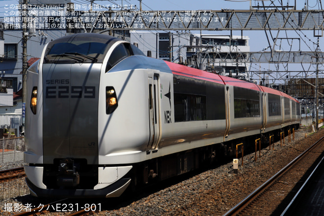 【JR東】新塗装となったE259系Ne005編成大宮総合車両センター出場回送を土呂駅で撮影した写真