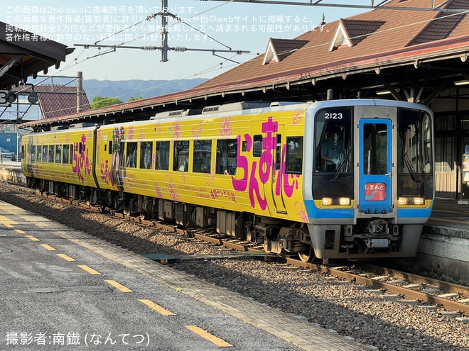 【JR四】2000系2123＋2155「らんまん」ラッピング列車がしまんと号で香川県へを琴平駅で撮影した写真