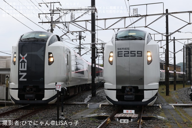 【JR東】E259系成田エクスプレス　リニューアル撮影会を鎌倉車両センター本所で撮影した写真