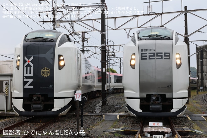 【JR東】E259系成田エクスプレス　リニューアル撮影会を鎌倉車両センター本所で撮影した写真