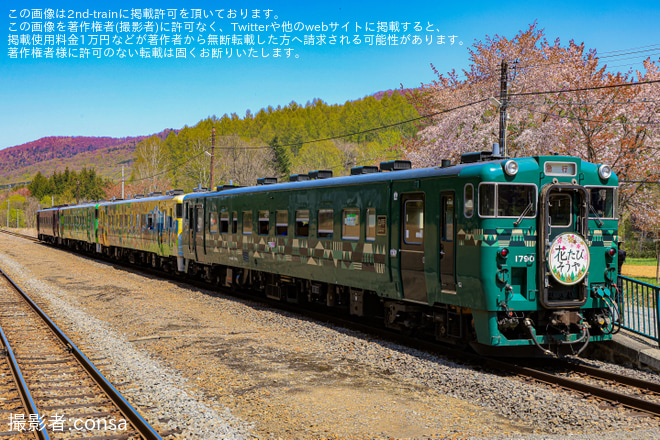 【JR北】急行「花たびそうや」運行始まるを塩狩駅で撮影した写真