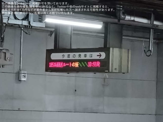 【JR東】「上野運輸区乗務員・駅社員と行く、185系回送ルートの旅」ツアーを催行を不明で撮影した写真