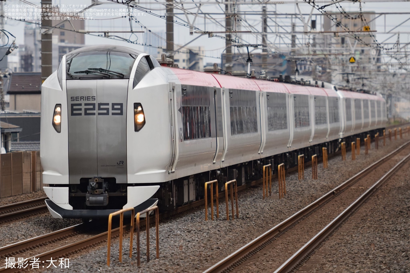 【JR東】新塗装となったE259系Ne005編成営業運転開始の拡大写真