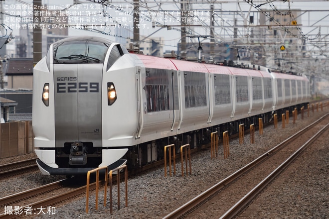 【JR東】新塗装となったE259系Ne005編成営業運転開始を不明で撮影した写真