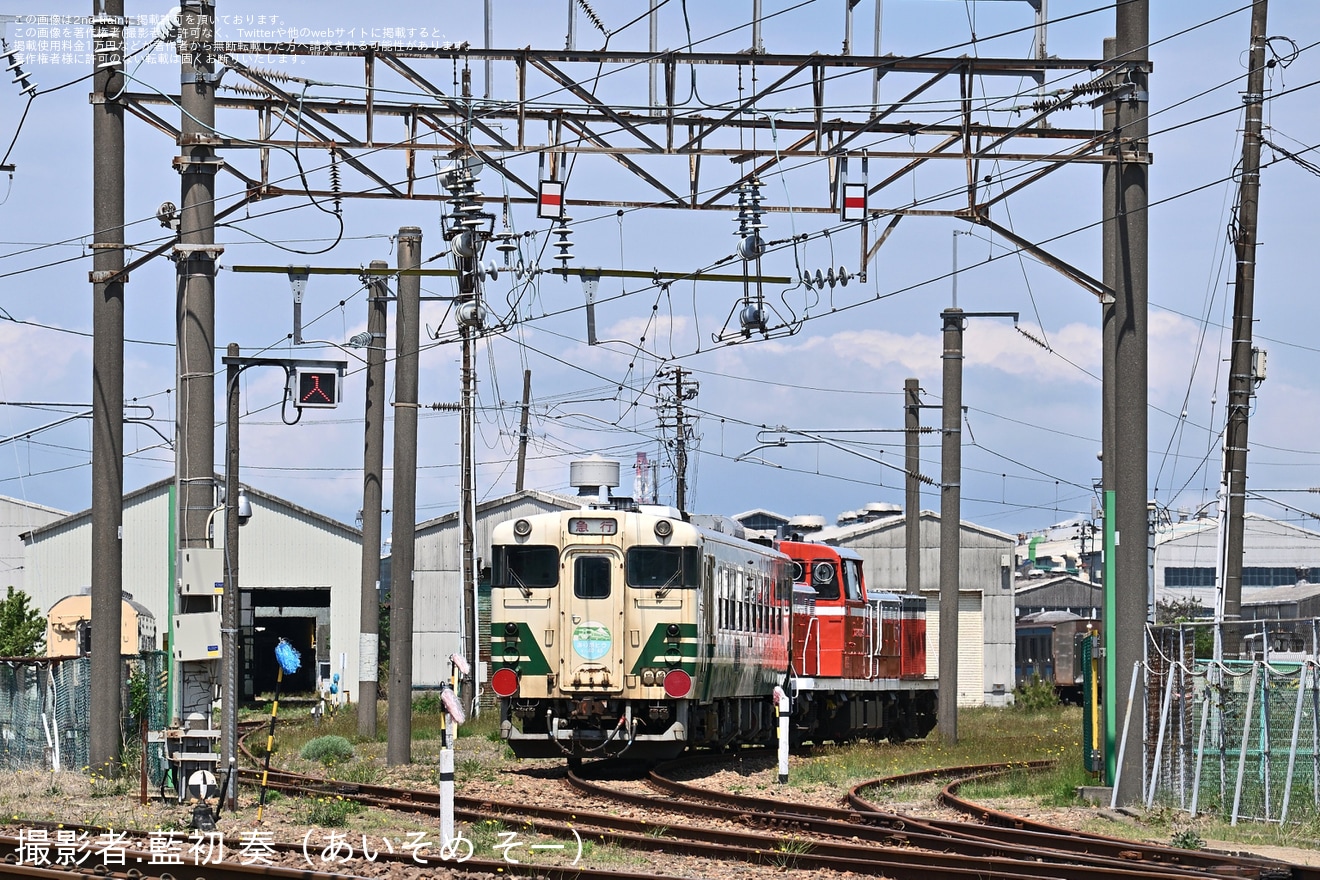 【JR東】キハ48-517が廃車のため配給輸送の拡大写真