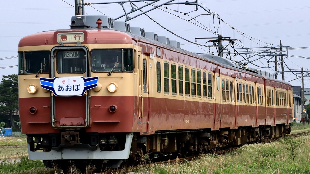 トキ鉄】413系/455系W01編成へ急行「あおば」ヘッドマーク |2nd-train 