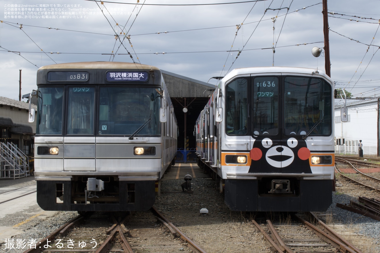 【熊電】鉄道ファン有志による01形と03形の撮影会の拡大写真