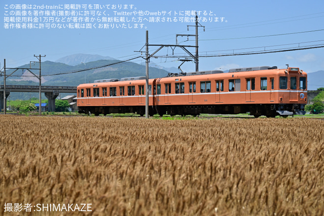 【養老】「ラビットカー還暦記念列車」ツアーが催行を美濃高田～烏江間で撮影した写真