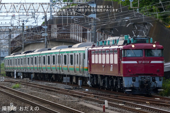 【JR東】E231系S-03編成が羽越本線方面へ配給輸送を国府津駅で撮影した写真