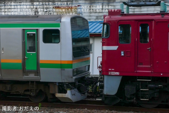 【JR東】E231系S-03編成が羽越本線方面へ配給輸送を国府津駅で撮影した写真