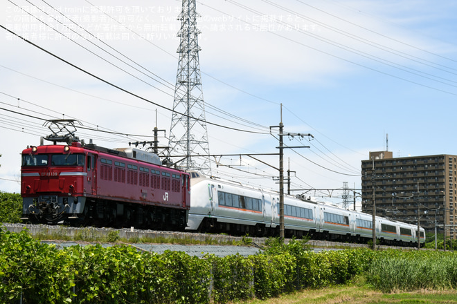 【JR東】651系OM205編成廃車配給を東川口～東浦和間で撮影した写真