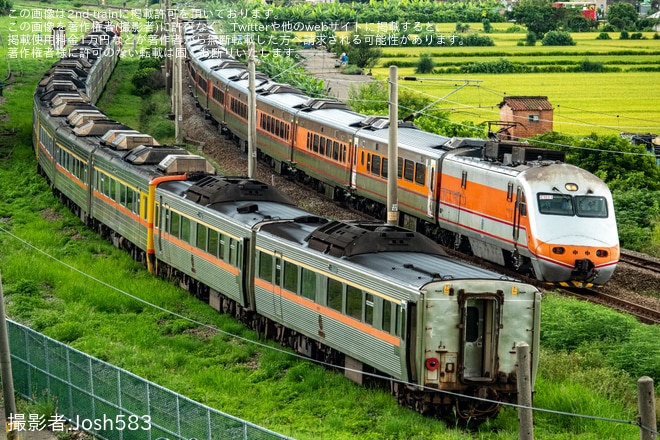 【台鐵】DR3000型12両とDR2800型2両が廃車のため龍井へ回送