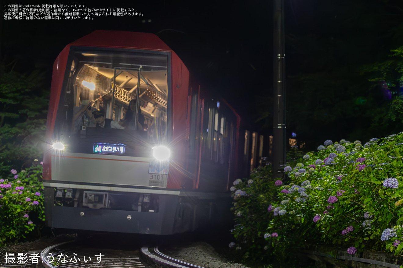 【箱根】「夜のあじさい号」の招待列車臨時運行の拡大写真