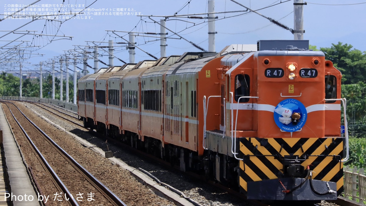 810OcPqgwgL._AC_UF350,