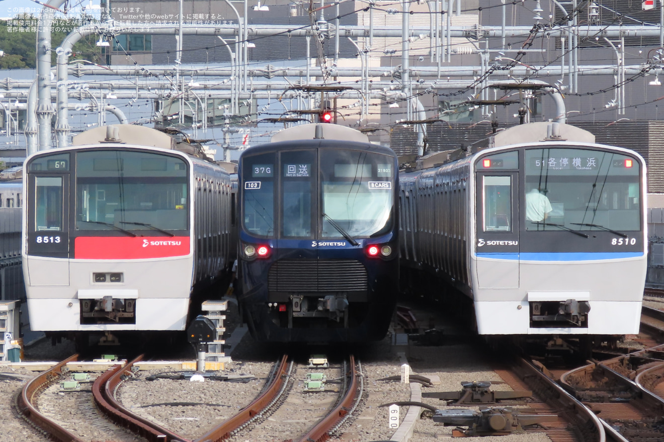 【相鉄】8000系8713×10(8713F)が前面赤色の状態で定期列車に運用の拡大写真